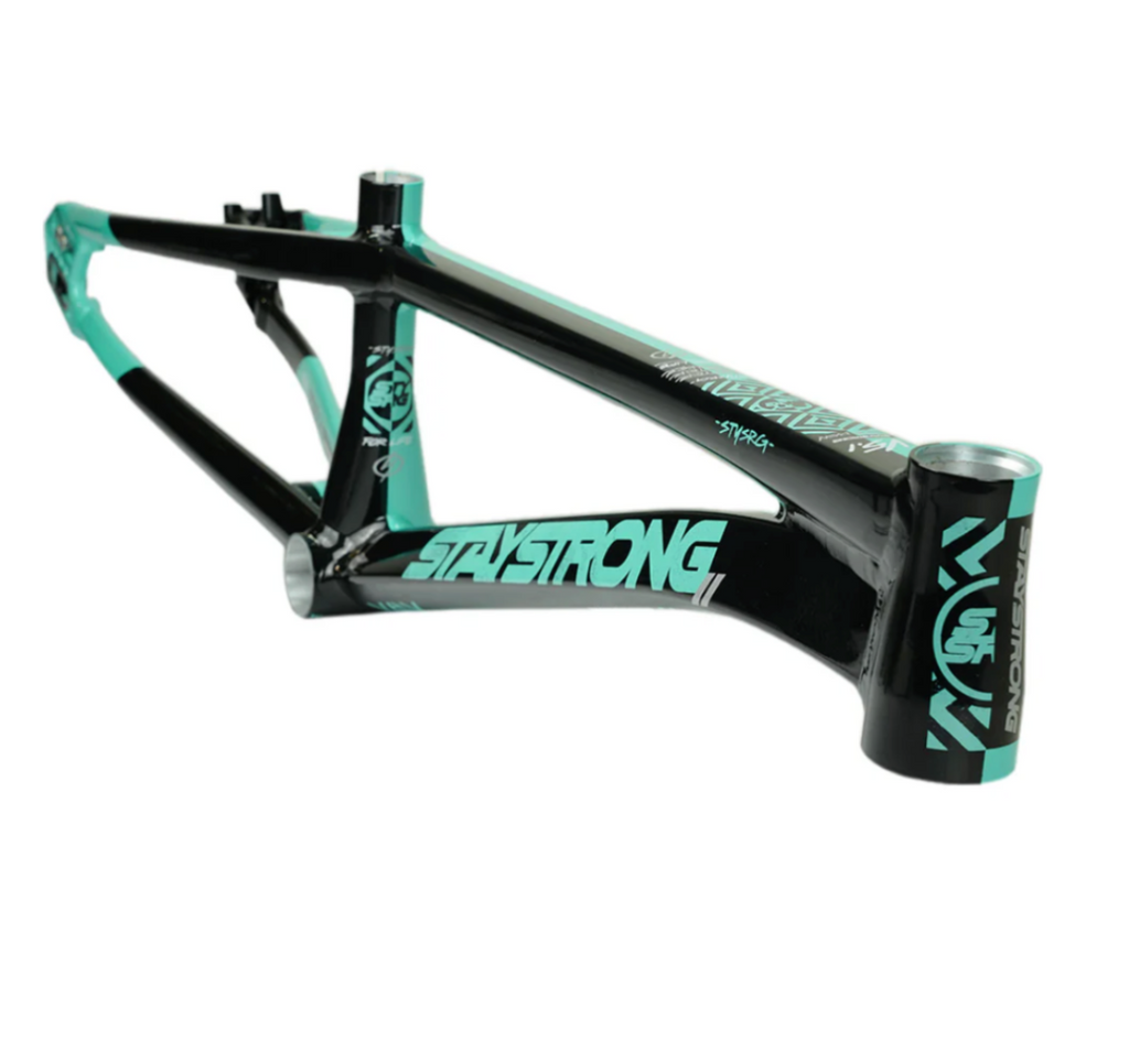 Stay Strong V5.1 - Disc Alloy BMX Race Frame